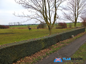 Vlečka Fachner - Podchotucký mlýn